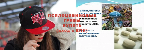 дурь Нея