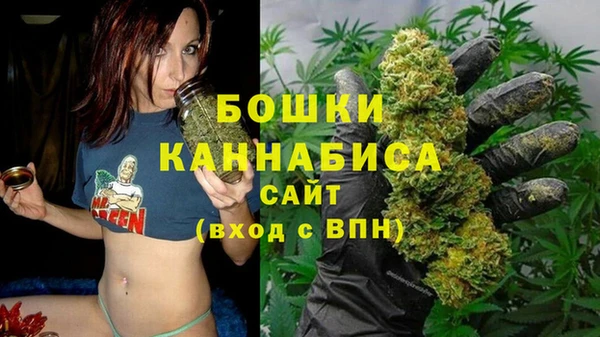 сатива Надым
