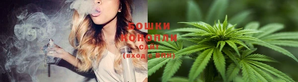 стафф Нефтегорск