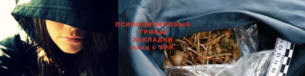 дурь Нея