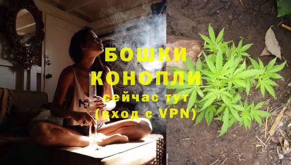 дурь Нея