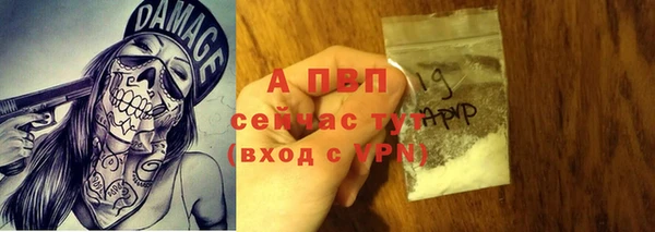 стафф Нефтегорск