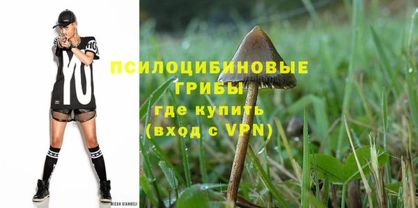 ГАЛЛЮЦИНОГЕННЫЕ ГРИБЫ Болотное