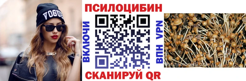 купить наркотики цена  Урюпинск  Галлюциногенные грибы Psilocybe 