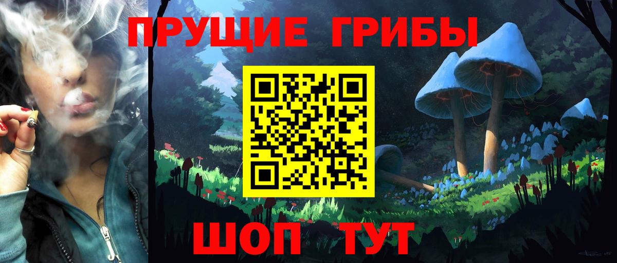 Галлюциногенные грибы прущие грибы Урюпинск